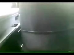 Dick sucking in the car