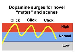 excellent porn experiment