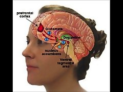brain on porn part1