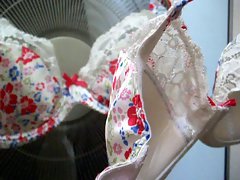 Bra-Fan (1)