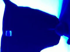 Blacklight Masturbation on Wife&#039;s Panties