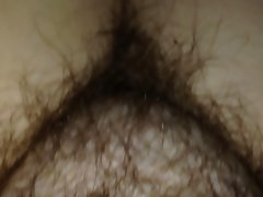 long pubic hair,