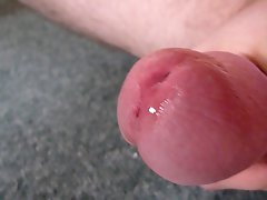 Precum & Cum