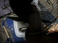 fan hit my penis harder