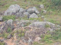 DSCN5591.MOV