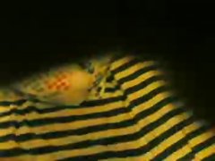 28112008(001)