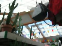 In the garden center