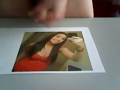 Tribute nicolwel