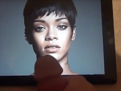 Rihanna Tribute