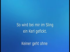 Mannheimer Hengst