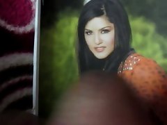 Sunny Leone Tribute 3