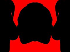 Silhouette