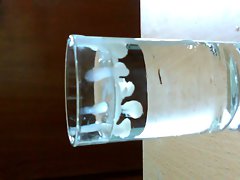 Cum in water 2