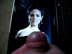 tribute to anna silk