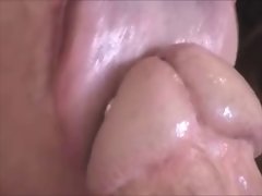 Great Close Up Cock sucking