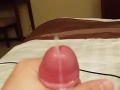 cum pecker dick
