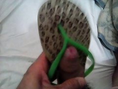 Havaianas Thin