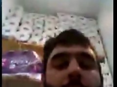 bear 2