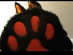 Giant paw cameing at you (loop)