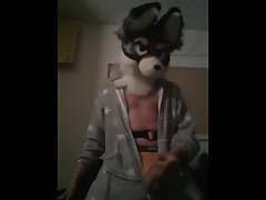 furry is jerking off (first video)