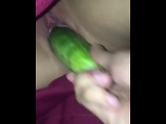 Quick Cucumber in the school