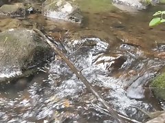 Piss in a creek #27