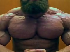 Brief AND MASSIVE BODYBUILDERS