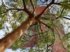 3D Giantess Doom of a City
